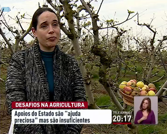 Reportagem RTP